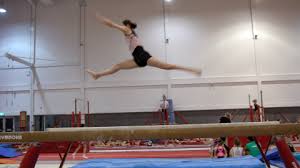 Image result for South Essex Gymnastics Club