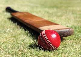Image result for Bat Sports Cricket Club
