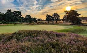 Image result for Hankley Common Golf Club