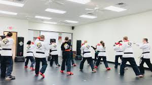 Image result for Abbey Fit Tae Kwon Do