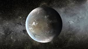 Image result for Wild Water Planet
