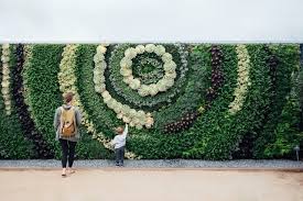 Image result for living wall