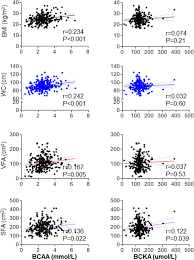 Image result for BCKA