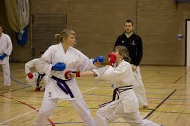 Image result for Swansea Taekwondo Club