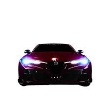 Image result for Alfa Netball Club