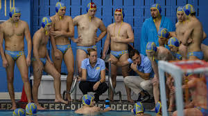 Image result for York University Swimming & Water Polo Club