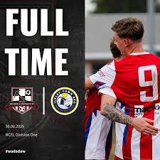 Image result for Dearne & District F C