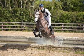 Image result for Jp-Sheffield Eventing