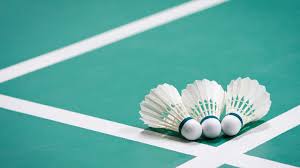 Image result for Shuttlecocks Badminton Club