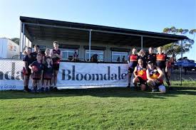 Image result for Lawn Netball Club