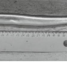 Image result for Lethenteron camtschaticum