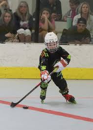 Image result for Vipers Roller Hockey Team