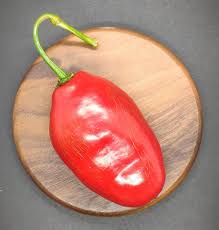 Afbeeldingsresultaat voor red rocoto hot pepper