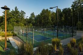 Image result for 1st New Forest Pickleball Club
