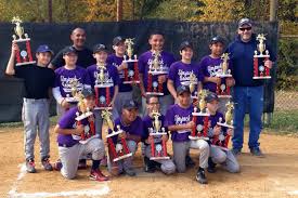 Image result for Elmbridge Girls` Little League