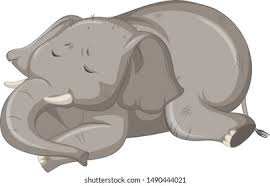 Image result for sad elephant