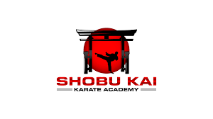 Image result for Aikido - Shobu UK