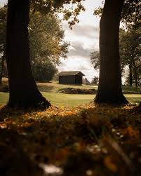 Image result for Wentworth Tennis & Health Club