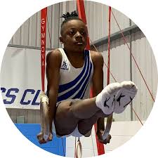 Image result for Hemsworth Odyssey Gymnastics Squad