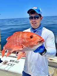 Image result for Lutjanus colorado