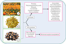 Attēlu rezultāti vaicājumam “Cucurbitaceae”