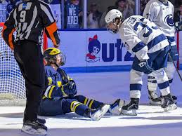 Image result for Norton Cyclones Skater Hockey Club