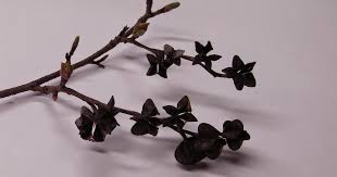 Attēlu rezultāti vaicājumam “Exochorda giraldii var. wilsonii”