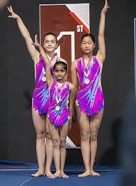 Image result for Sankey Springers Gymnastics Club