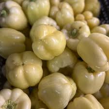 Afbeeldingsresultaat voor hungarian sweet white sweet pepper