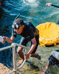 Image result for Chrysoblephus cristiceps