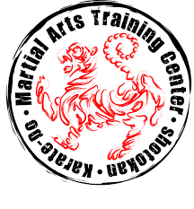 Image result for Tsunami Karate Club