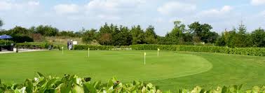 Image result for Vale Of Aylesbury Athletics Club