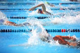 Image result for Feltham Swimming Club