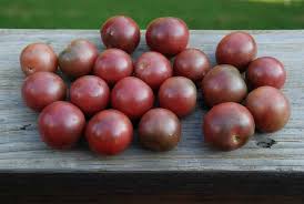 Afbeeldingsresultaat voor black cherry tomato