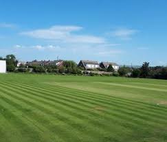 Image result for Elthorne Cricket Club