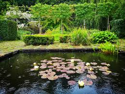 Image result for Mien Ruys