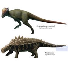 Attēlu rezultāti vaicājumam “Diderma roanense macro”