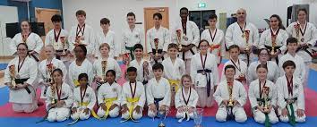 Image result for TIVERTON SHOTOKAN KARATE CLUB