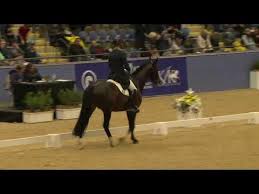 Image result for Interfreestyle Sport Karate