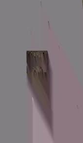 Attēlu rezultāti vaicājumam “Alloeotomus sp.”