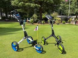 Image result for Delphi Bowls Club