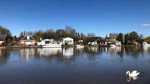 Image result for Walton On Thames Angling