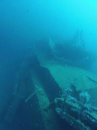 Image result for Maverick Divers