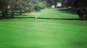 Image result for Abingdon G C