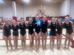 Image result for Holbeach and Fenland Gymnastics Club