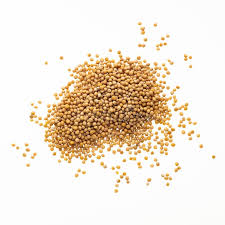 Attēlu rezultāti vaicājumam “Sinapis alba fruit”