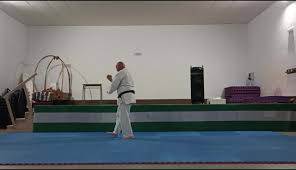 Image result for Crowtorne Shotokai