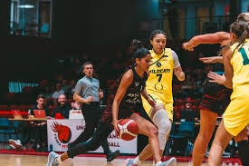 Image result for Nottingham Wildcats