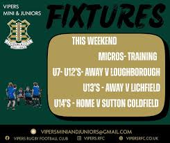 Image result for Sutton Vipers