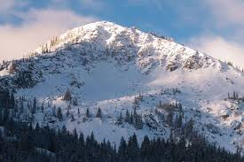 Image result for Brighton University Ski & Snowboard Club